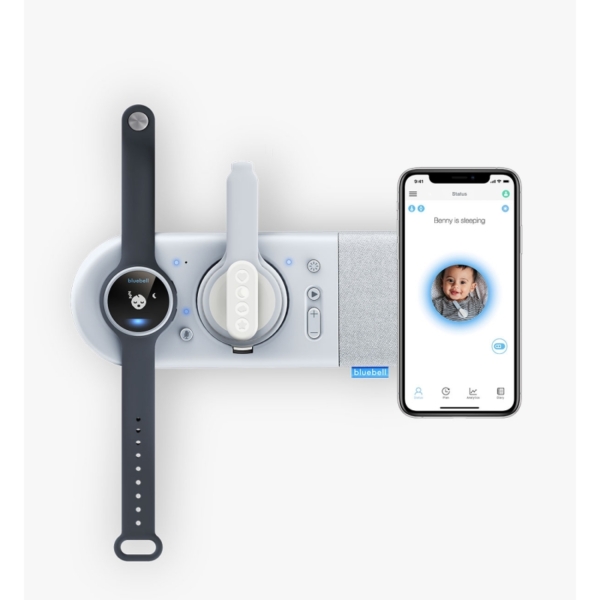 Bluebell Smart Monitoring System