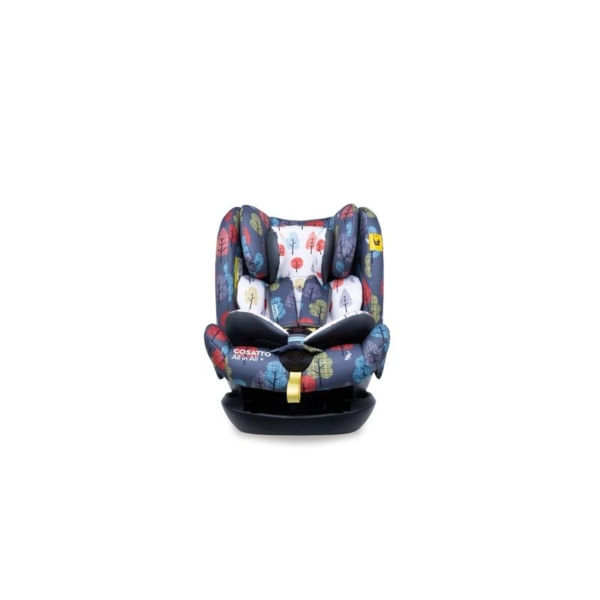 Cosatto All in All + Group 0+123 Car Seat-Harewood