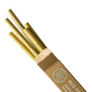 eco rascals Pack of 5 Bamboo Straws (NEW)