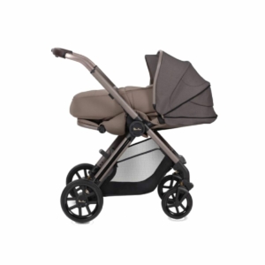 Silver Cross Reef With Newborn Pod -Earth