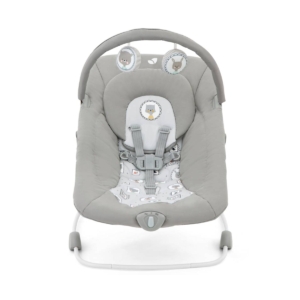 Joie Wish Bouncer-Portrait