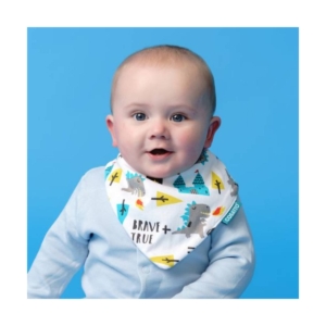 Ziggle Super Absorbent Waterproof Dribble Bib-Dragon Kingdom